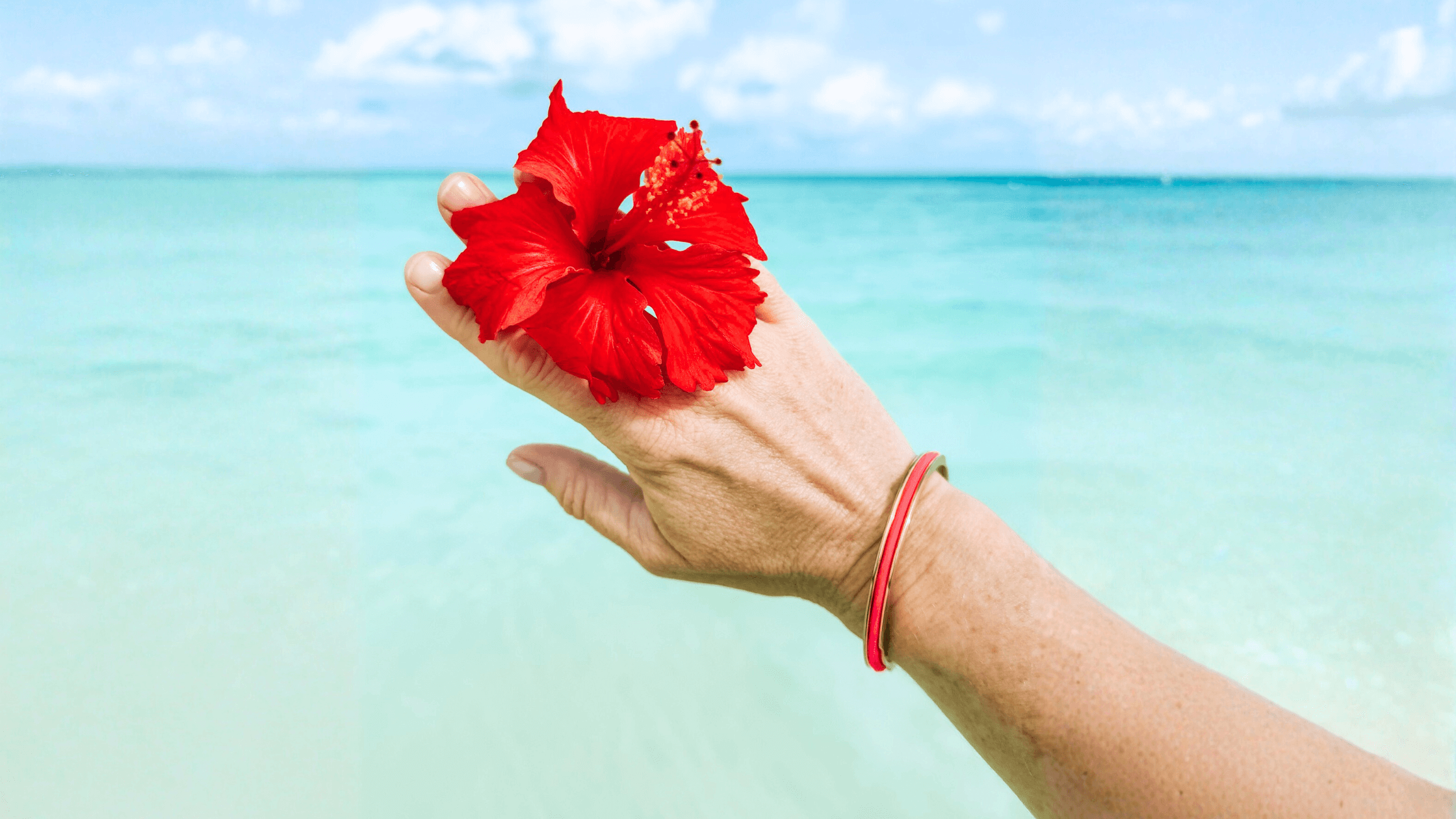 I want for Christmas is a Gypsea Loop Hair Tie Bangle