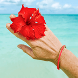 I want for Christmas is a Gypsea Loop Hair Tie Bangle