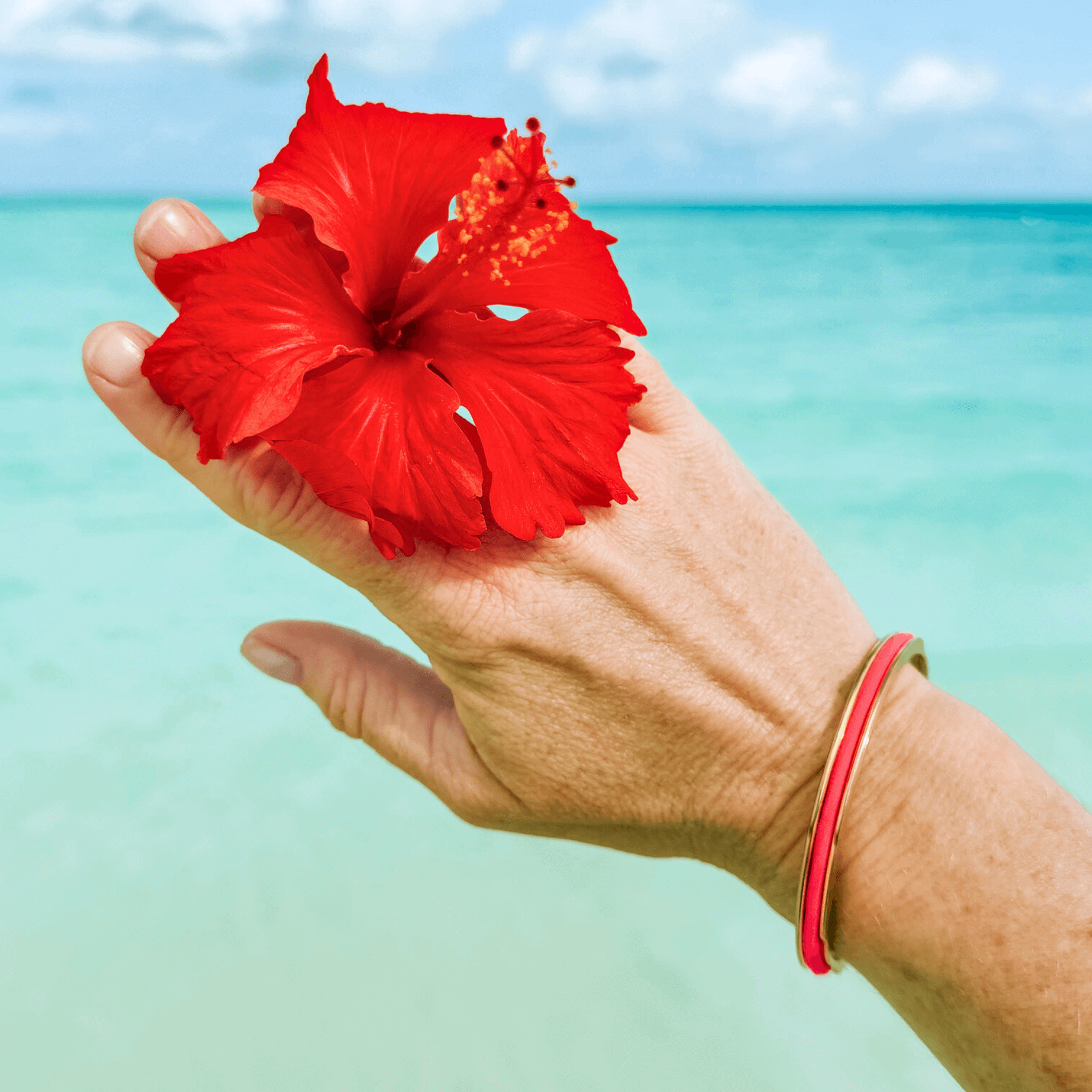 I want for Christmas is a Gypsea Loop Hair Tie Bangle